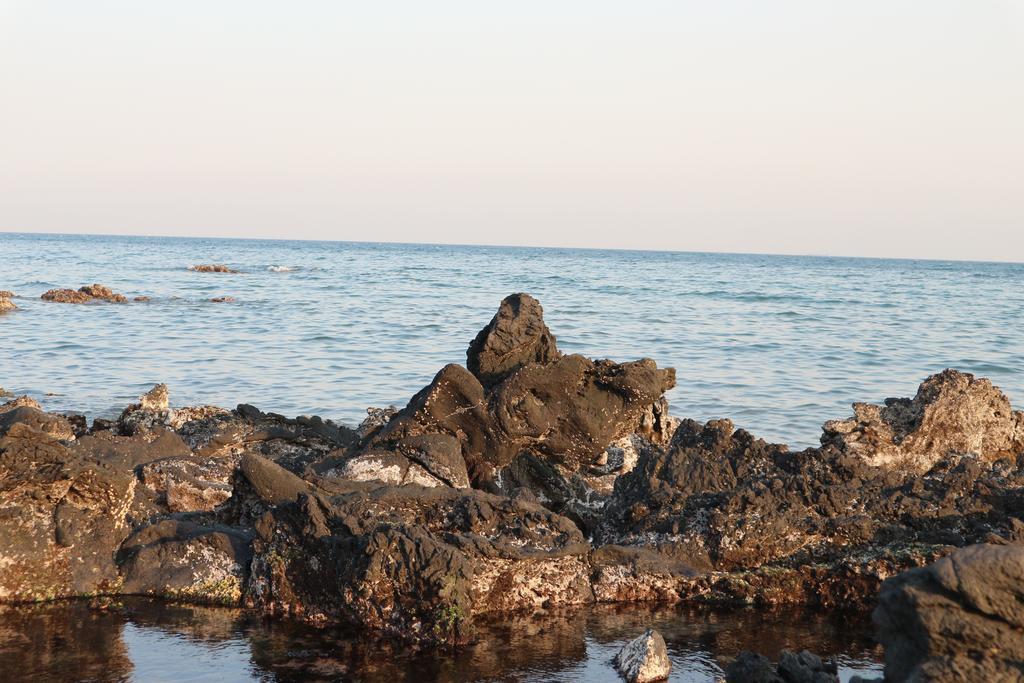 Blue Island Guesthouse Σεογκουίπο Εξωτερικό φωτογραφία