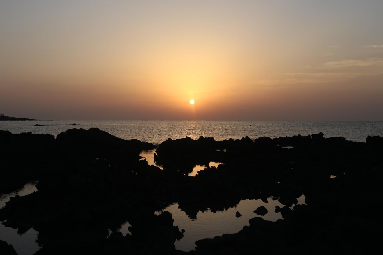 Blue Island Guesthouse Σεογκουίπο Εξωτερικό φωτογραφία
